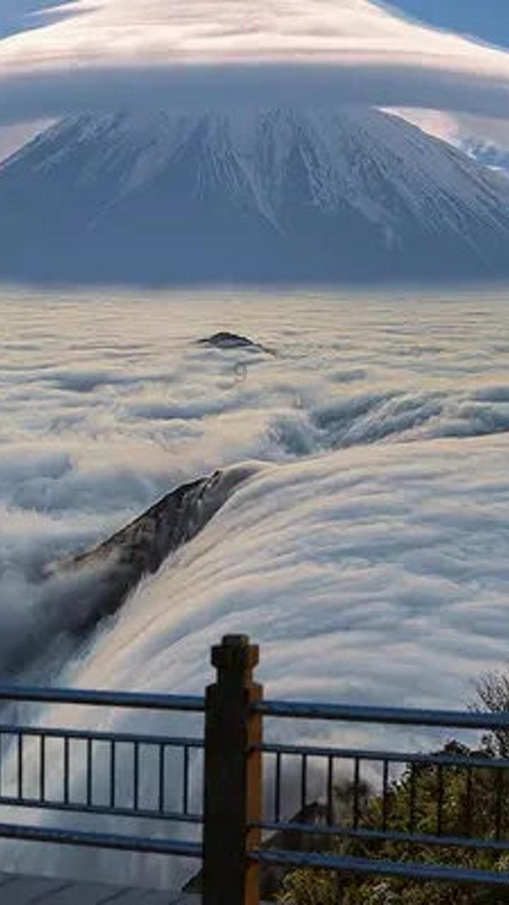 沪江开心词场