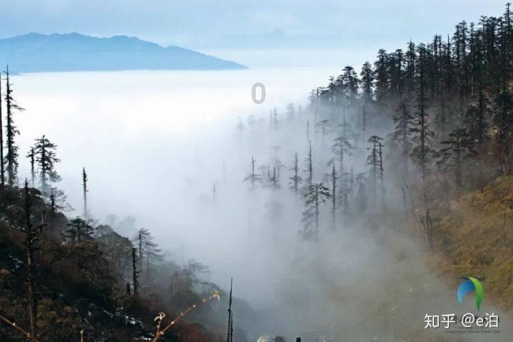 求问 那个动画片里的游戏画面