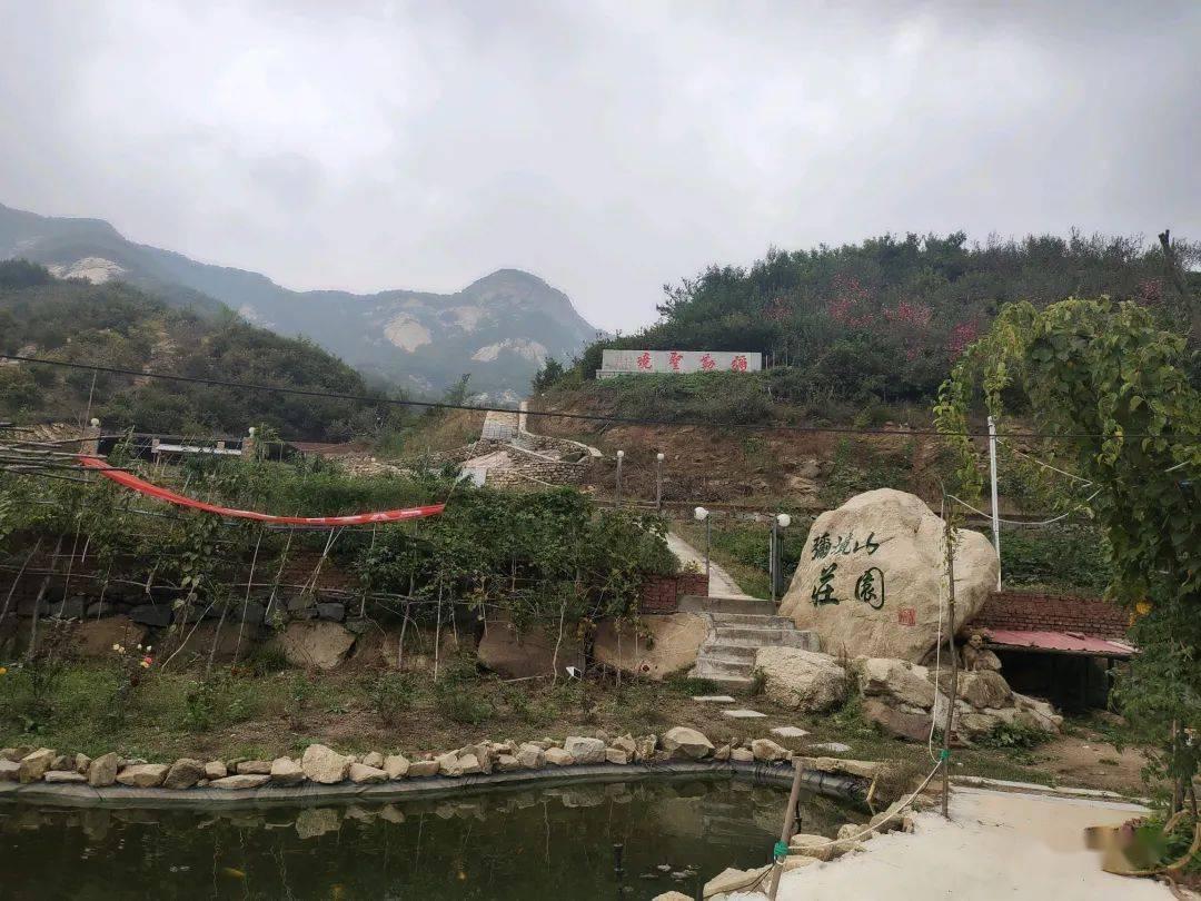 燃烧吧大脑装瓶子游戏