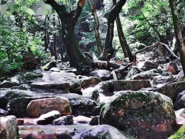 救援墨镜哥