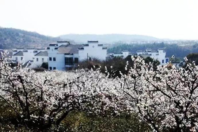 虫虫助手下载