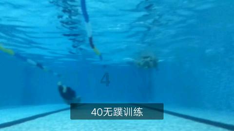 中共中央批准:王燕崎任重庆市委委员、常委