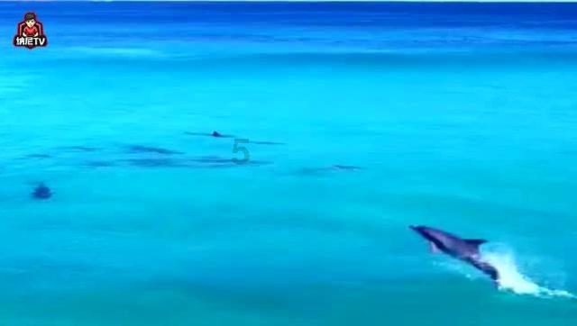 浪漫的雨季