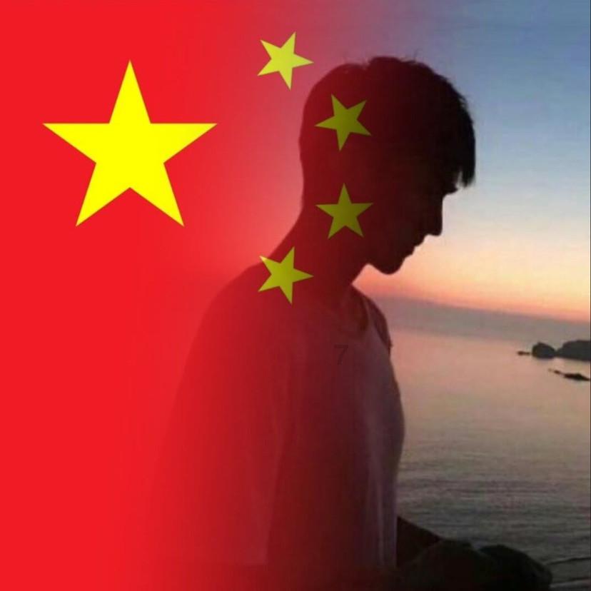 萌即正义，收容所里的猫咪被招募为警员，走马上任成为当地明星猫