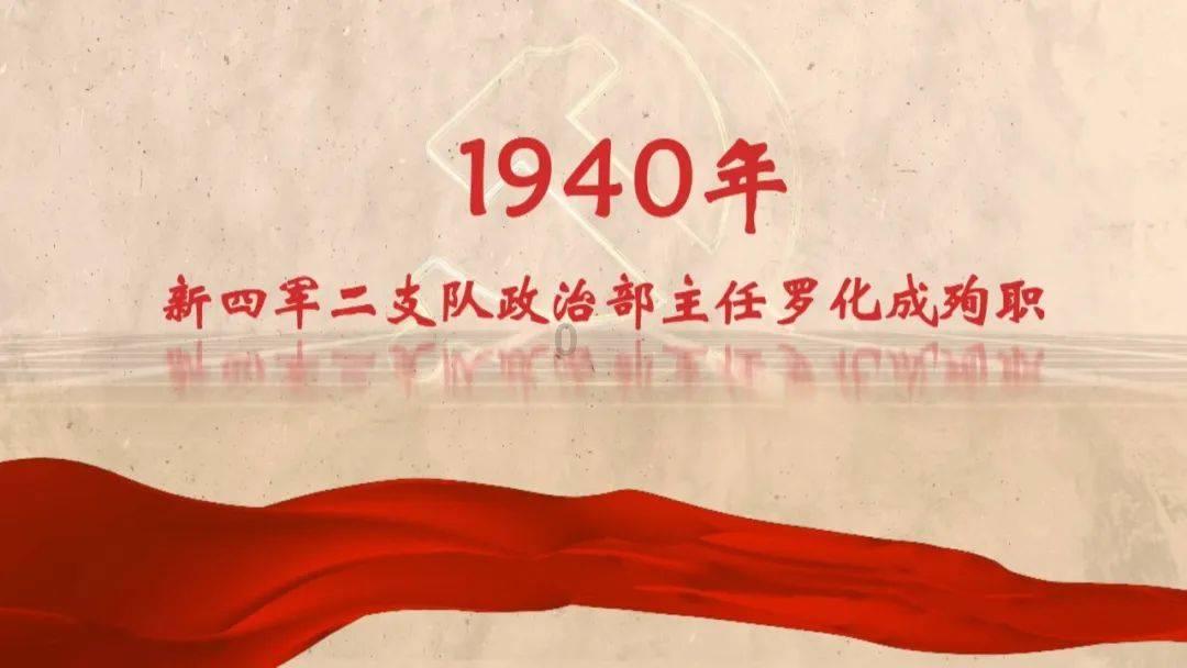 小猫钓鱼正版下载中文版