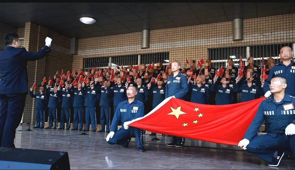 小猫钓鱼游戏龙王版有船