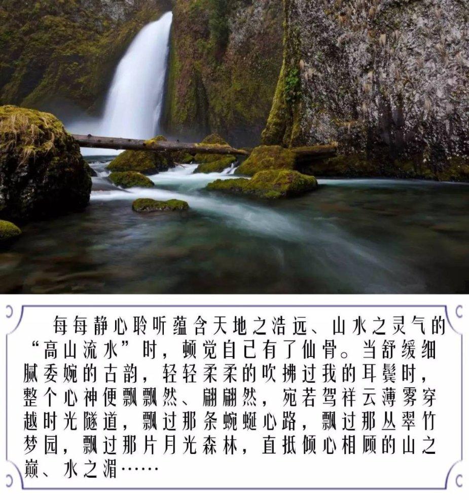 88影视