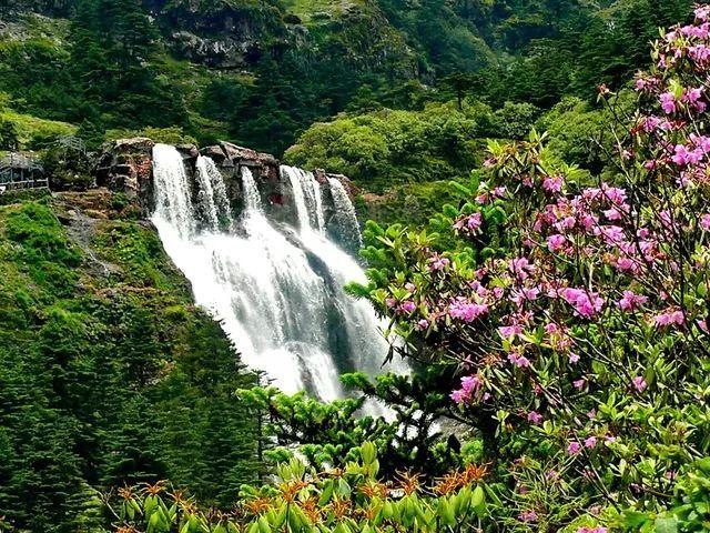 虫虫助手下载