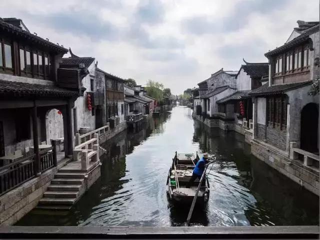 超能动物联盟
