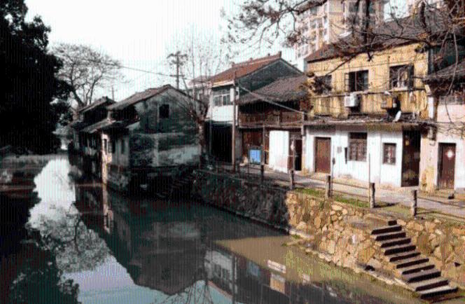 梦想的后院