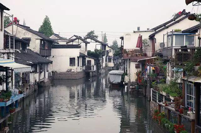 泡泡升空记8