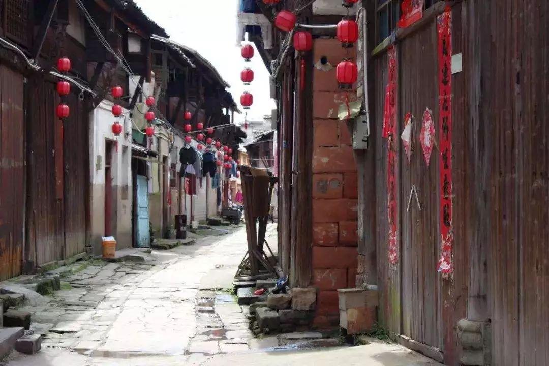 “心系家乡发展,助推乡村振兴”实践小分队———农村污水处理